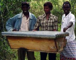 Beekeeping Infonet Biovision Home