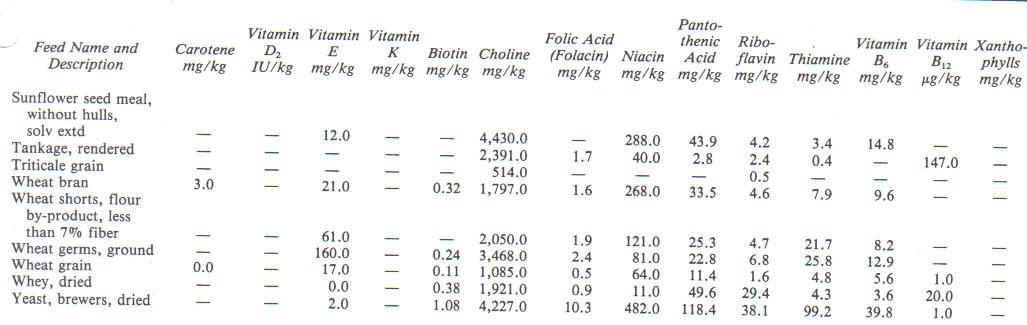 The Best Feed for Ruminant Animals