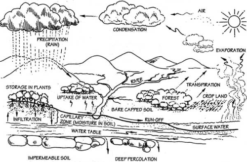 water cycle steps for kids. for the lt;bgt;water cyclelt;gt;