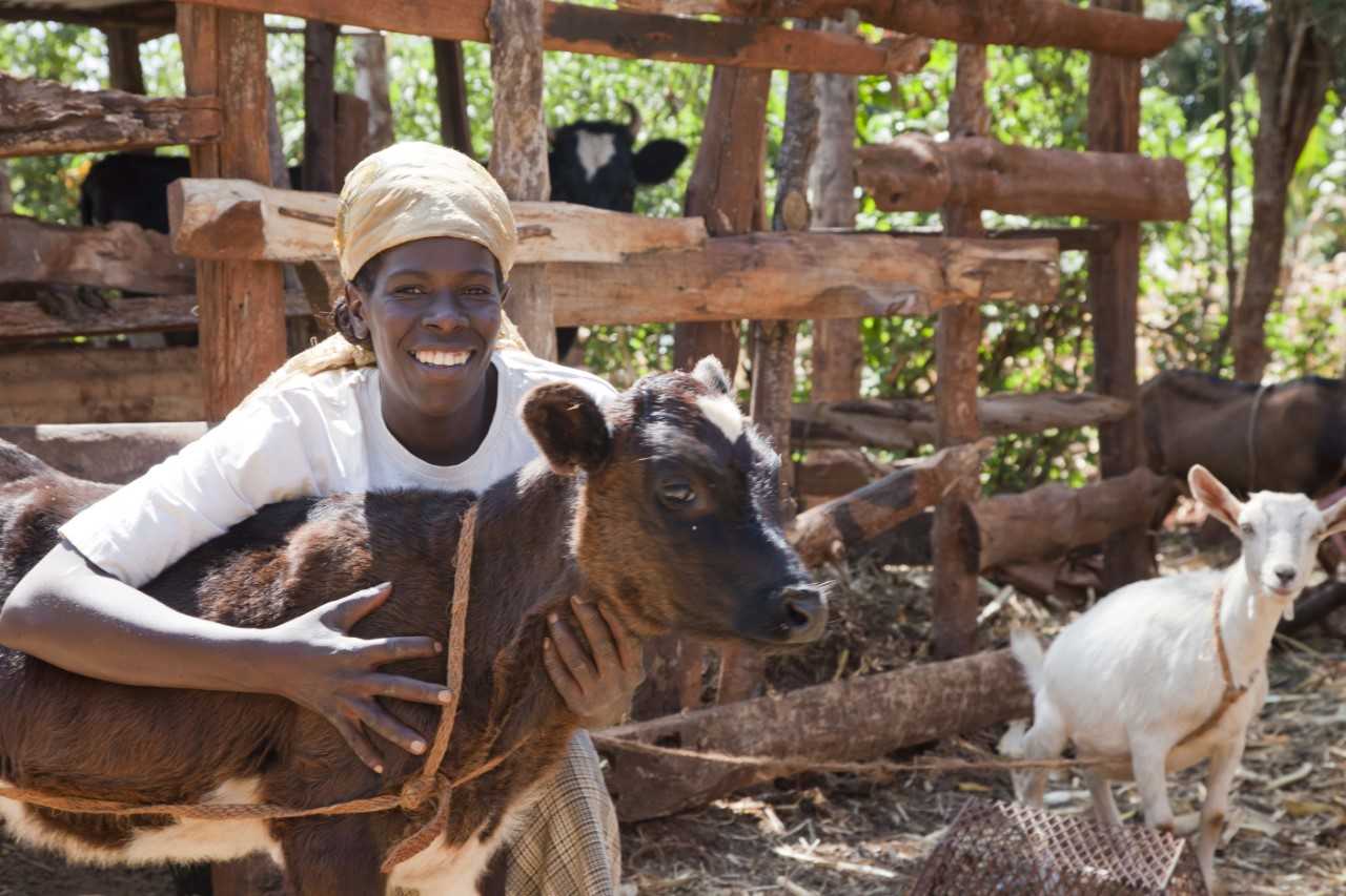 Animal health promotion, welfare and disease prevention