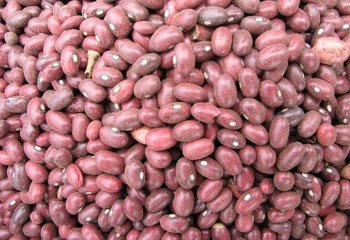 Beans-Wairimu (royal), Kenya. Ⓒ Adeka et al., 2005.