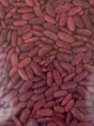 Dry beans seed Kenya Red Kidney Ⓒ A.A. Seif, icipe