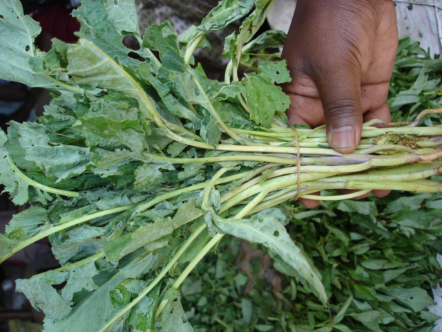 Ethiopian kale bunch in the market, Dodoma, Tanzania. © Maundu, 2004