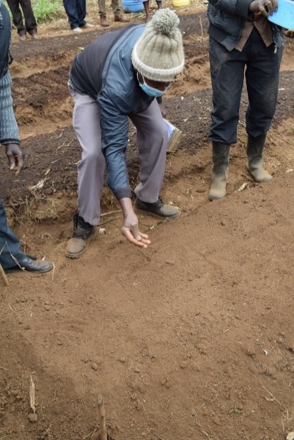 Farmers in Kiambu, Kenya demonstrating two ways of planting along rows sow and water vs water and sow The former proved easier Ⓒ Maundu, 2021