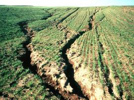 Soil erosion