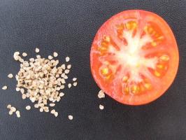 Locally produced tomato seed