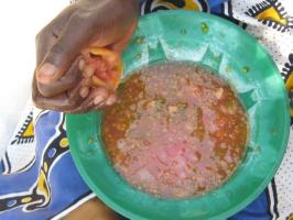 Tomato seed extraction by smallholder farmers