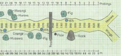 Plan of the Mwiwe riverbed