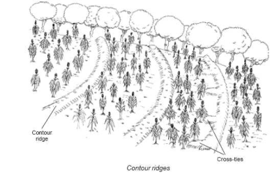 Contour ridges