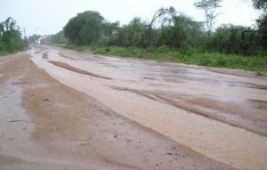 Don't waste rainwater falling on the road