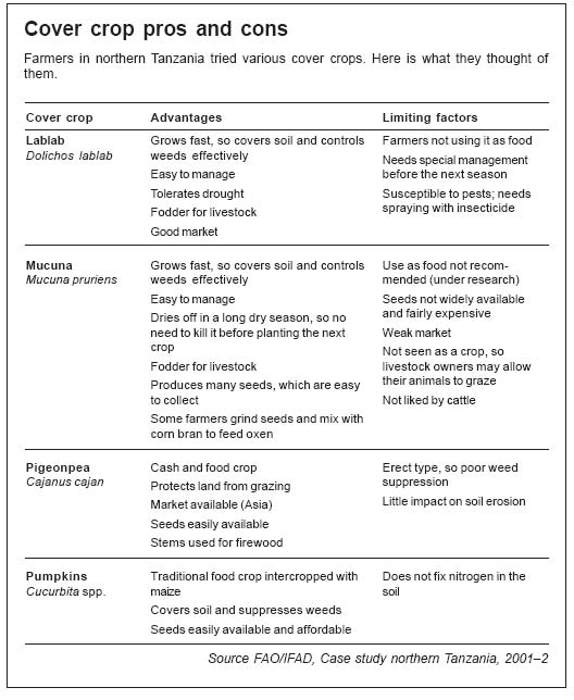 Cover crop pros and cons