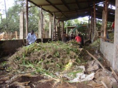 Making silage