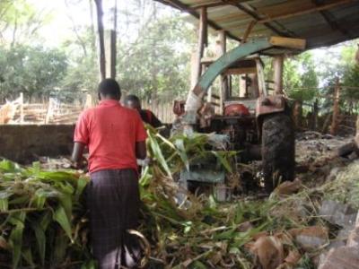 Feeding a forage chopper with forage