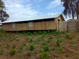 Side view of a timber wall rearing house