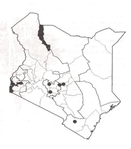 Distribution of Octea usambarensis in Kenya