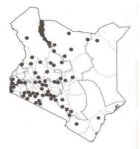 Distribution of Olea africana in Kenya