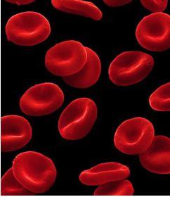 Red Blood Cells