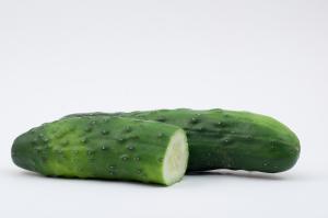 Cucumber