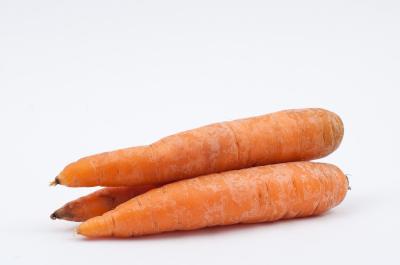 carrot