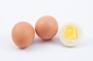 egg