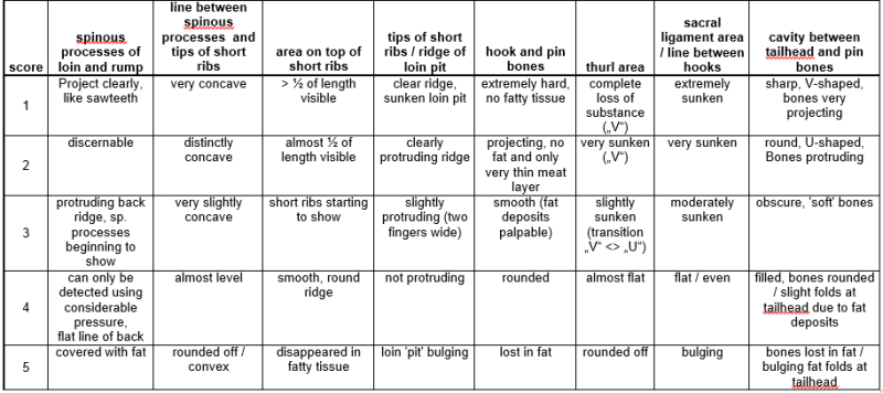 Body condition score in cows