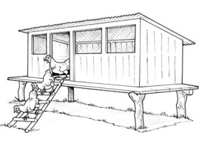 Chicken housing - building design