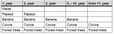 Diversification strategies,