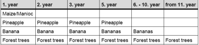 Diversification strategies, Example 3