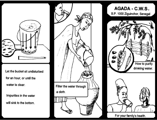 Moringa Water purification 2