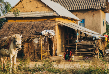 A horse in Nepal