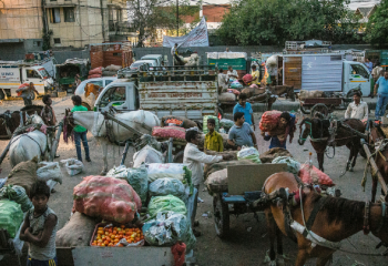 Vegetable market 