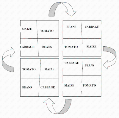 Garden Rotation Chart