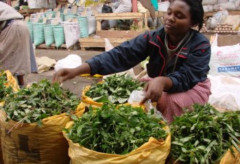 A vegetable retailer in one of the open-air markets in Nairobi, Kenya. Ⓒ Maundu, 2006