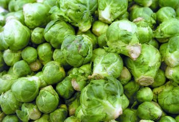 Brussels sprouts (Brassica oleracea (Gemmifera Group), Kenya. Ⓒ Adeka et al., 2005