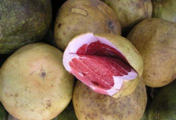 Grapefruit in Nairobi market. © Maundu, 2005