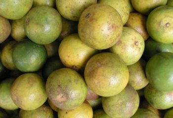 Mombasa oranges in Nairobi market. © Maundu 2005