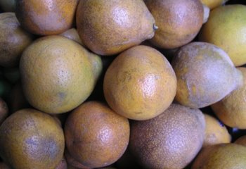 Voi oranges in Nairobi market. © Maundu, 2005