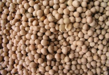 Dry garden peas- Kikuyu type in Nairobi market Ⓒ Adeka et al., Foods of Nairobi people, 2005