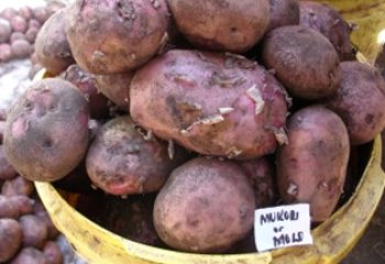 Molo or Mukori type in a Nairobi open market. © Adeka et al., 2006