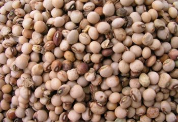 Pigeon pea- ‘mbaazi-kiuta’ type in Nairobi market, Kenya Ⓒ Adeka et al., 2005. Foods of Nairobi people