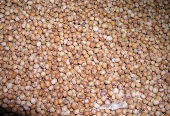 Pigeon peas (brown type) from Tharaka Nithi, Kenya - Nairobi market.Ⓒ Adeka et al., 2005. Foods of Nairobi people