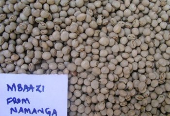 Pigeon peas, cream form from Namanga and Kitui, Kenya. Ⓒ Adeka et al., 2005. Foods of Nairobi people