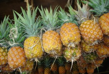 Pineapple -Baby pineapple type in Nairobi market, Kenya Ⓒ Adeka et al., 2005. Foods of Nairobi people