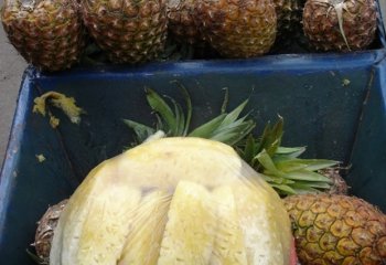 Pineapples -Peeled in Nairobi market, Kenya. ⒸAdeka et al., 2005. Foods of Nairobi people