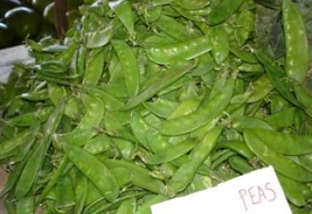 Snow peas-Pisum sativum var. saccharatum in Nairobi market, Kenya Ⓒ Adeka et al., Foods of Nairobi people, 2005