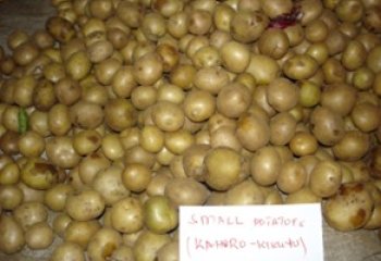 Tana-Kihoro type in a Nairobi open market. © Adeka et al., 2006