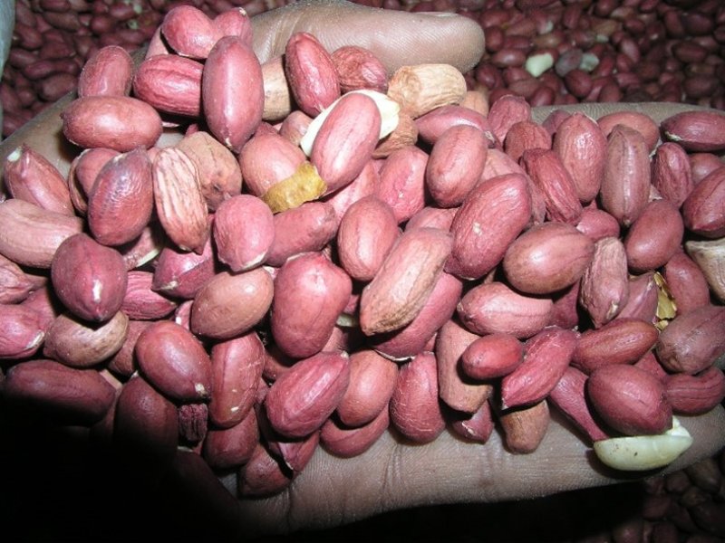 Ⓒ Foods of the Nairobi people, 2005