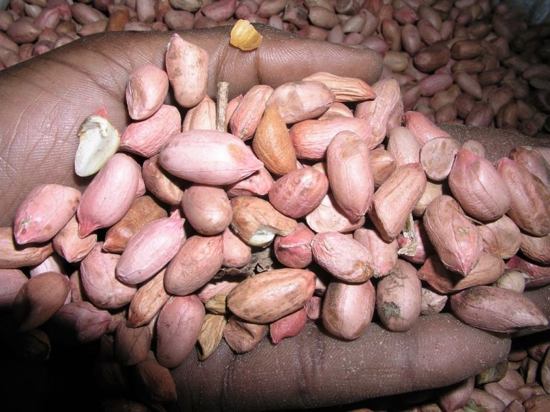 Ⓒ Foods of the Nairobi people, 2005