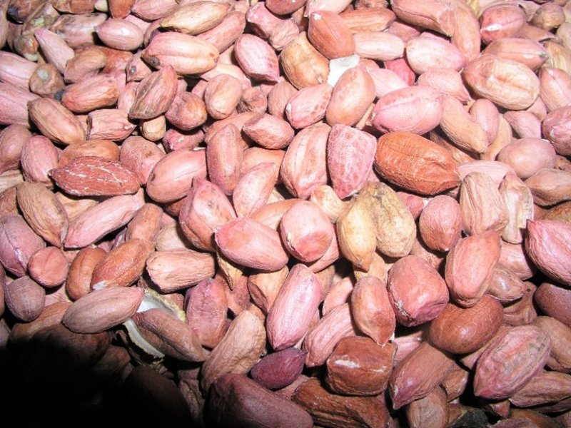 Ⓒ Foods of the Nairobi people, 2005