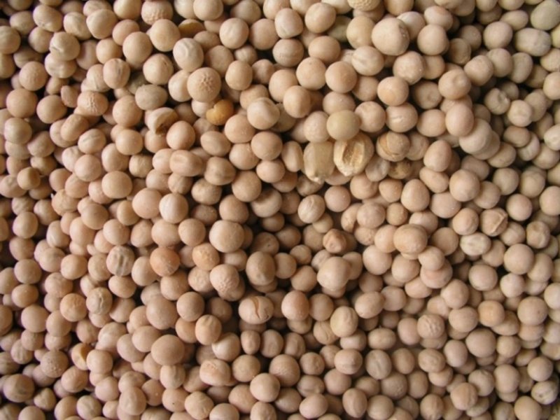 Ⓒ Adeka et al., Foods of Nairobi people, 2005